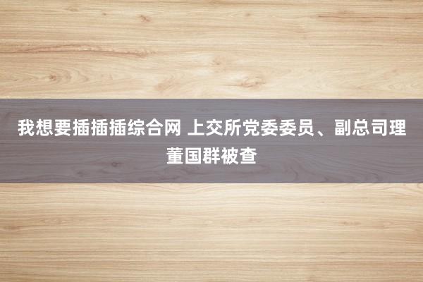 我想要插插插综合网 上交所党委委员、副总司理董国群被查