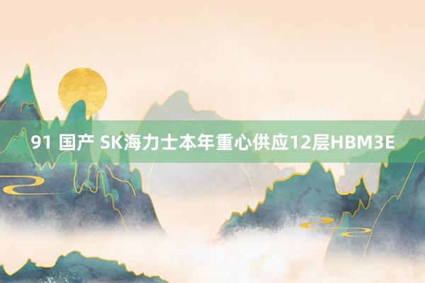 91 国产 SK海力士本年重心供应12层HBM3E