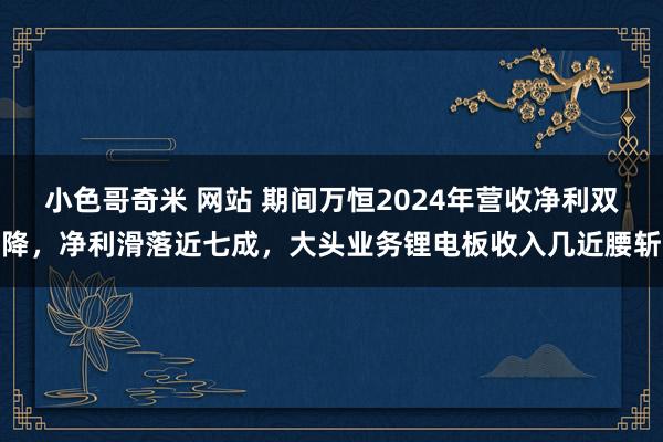 小色哥奇米 网站 期间万恒2024年营收净利双降，净利滑落近七成，大头业务锂电板收入几近腰斩