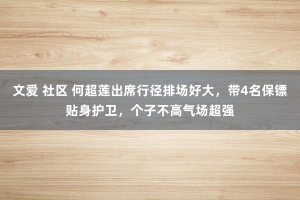 文爱 社区 何超莲出席行径排场好大，带4名保镖贴身护卫，个子不高气场超强