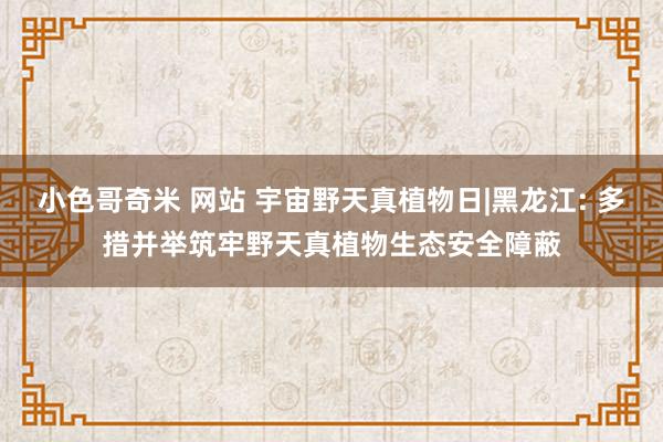 小色哥奇米 网站 宇宙野天真植物日|黑龙江: 多措并举筑牢野天真植物生态安全障蔽