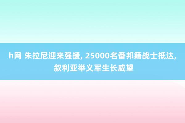 h网 朱拉尼迎来强援， 25000名番邦籍战士抵达， 叙利亚举义军生长威望