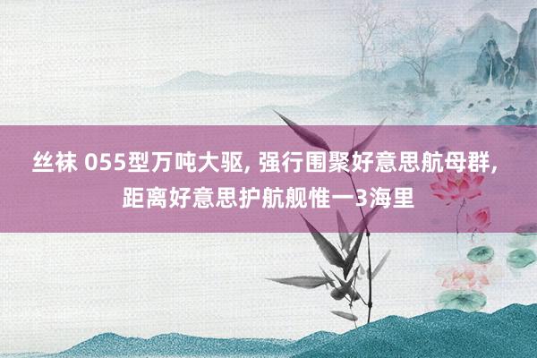 丝袜 055型万吨大驱， 强行围聚好意思航母群， 距离好意思护航舰惟一3海里