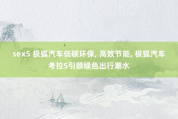 sex5 极狐汽车低碳环保， 高效节能， 极狐汽车考拉S引颈绿色出行潮水