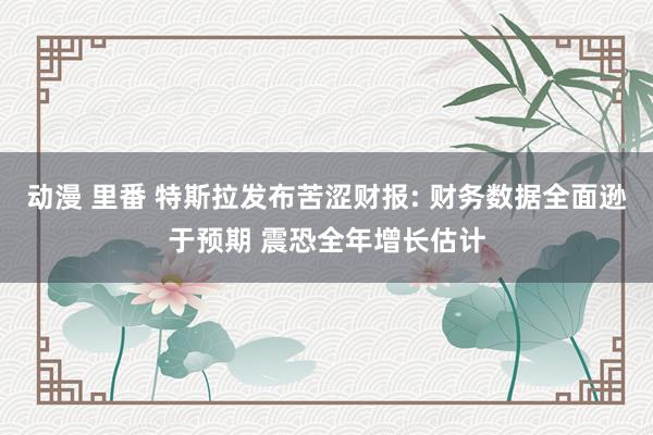 动漫 里番 特斯拉发布苦涩财报: 财务数据全面逊于预期 震恐全年增长估计