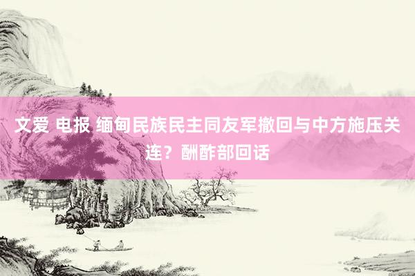 文爱 电报 缅甸民族民主同友军撤回与中方施压关连？酬酢部回话