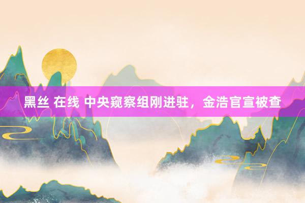 黑丝 在线 中央窥察组刚进驻，金浩官宣被查