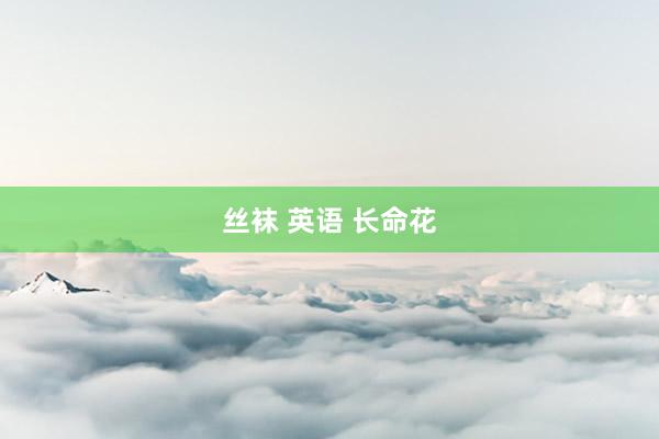 丝袜 英语 长命花