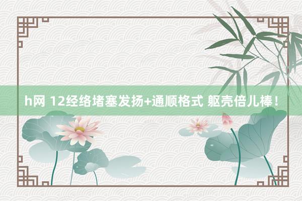 h网 12经络堵塞发扬+通顺格式 躯壳倍儿棒！